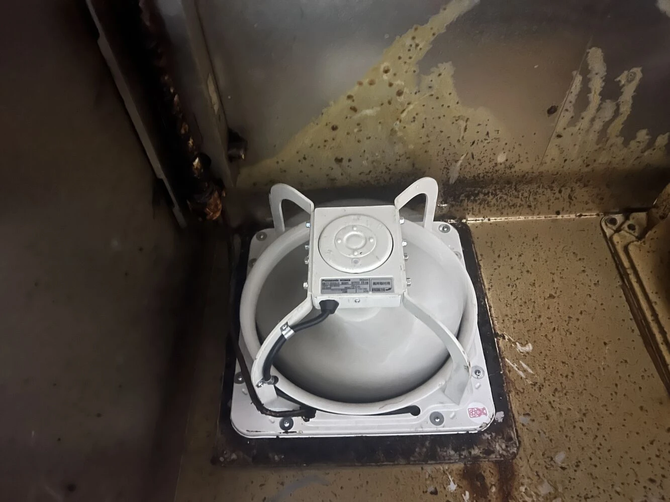 あなたが現在見ているのは 業務用換気扇を新型に入れ替えたら換気効率が大幅改善！