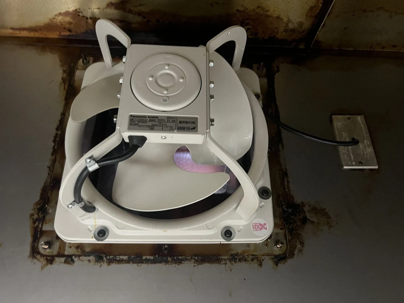 ダウンロード (62)